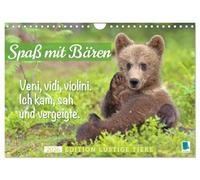 Spaß mit Bären: Edition lustige Tiere (Wandkalender 2026 DIN A4 quer), CALVENDO Monatskalender: Bären: Meister Petz, freche Sprüche und humorvolle Tierporträts