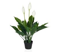 SPATHIPHYLLUM - Piante artificiali Verde/Bianco