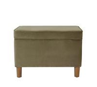 Spatial Order Decorazione per la casa, collezione Dinah, ottomana moderna con contenitore, per soggiorno e camera da letto (velluto verde salvia chiara)