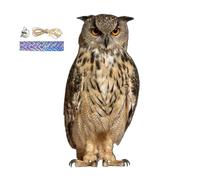 Spaventapasseri Gufo 2D 60 Cm In PP Resistente Con Campanella, Falco Realistica Stile Decorativo Per Giardino Balcone Frutteto, Dissuasore Volatili Da Esterno