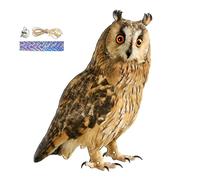 Spaventapasseri Gufo 2D 60 Cm In PP Resistente Con Campanella, Falco Realistica Stile Decorativo Per Giardino Balcone Frutteto, Dissuasore Volatili Da Esterno