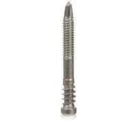 SPAX Spax 557000500483 - Vite profilata TX25, in acciaio inox A2, 100 pezzi