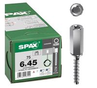 SPAX Vite per calcestruzzo, filettatura interna M8/10, 6 x 45 mm, 75 pezzi, SW 13, zincata, 1841010600455