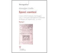 Spazi contesi. Camera della Sommaria, baronaggio, città e costruzione dell'apparato territoriale del Regno di Napoli (secc. XV-XVIII) (Vol. 1)