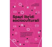 Spazi ibridi socioculturali. Una cassetta di attrezzi e domande aperte per i luoghi del welfare di comunità