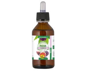 Spazio Ecosalute FICUS CARICA GEMMODERIVATO 100 ML