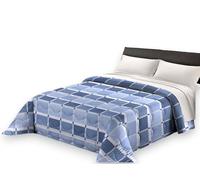SpazioTessile - Trapunta Invernale Letto Singolo Made in Italy da 300gr/m², Piumone Caldo per i Mesi Freddi 160x260 Fantasia Toronto Quadri, Tessuto Anallergico in Microfibra (Blu)