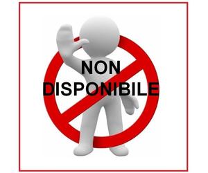 Spazzacamino Pulisce tutte le Canne Fumarie Pulitore non tronchetto Napoli Lodi