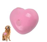 Spazzola a Vapore per Gatti A Forma di Cuore Ricaricabile USB