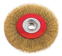 SPAZZOLA ACCIAIO CIRCOLARE + FORO PG - 486.00 MM 100 F.MM 13- 5 pezzi