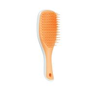 Tangle Teezer Ultimate - Spazzola districante per capelli, elimina i nodi e riduce la rottura, mini spazzola per capelli, per viaggi, mani piccole e tutti i tipi di capelli, blu ghiaccio e arancione