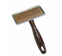 Spazzola Gloria Plastica