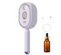 Spazzola Lisciante A Vapore Per Capelli, Strumento Districante Ricaricabile con Olio e Misurino, Spazzola Lisciante a Vapore, Per Donne Ragazze Viaggio Quotidiano Casa Lisciare Ricci Spessi Lisci E Mo