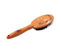 SPAZZOLA OVALE FIORI E UCCELLI