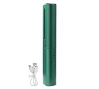 Spazzola per capelli e bigodino antiscottatura 2 in 1 Pettine per lisciare i capelli agli ioni negativi ricaricabile tramite USB per uso quotidiano e viaggi (Verde)