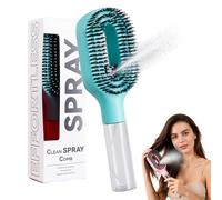 Spazzola per capelli spray portatile con serbatoio acqua 50 ml, spazzola idratante anti statica, pettine spray acqua per districare rapidamente capelli secchi ricci uso quotidiano viaggio