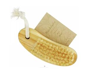 Spazzola Per Chiodi In Cedro 4 Pollici 1 CONFEZIONE Di Baudelaire