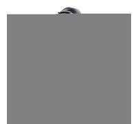 Spazzola per lisciare i capelli - Pettine per styling rapido regolabile a 4 temperature | Piastre per capelli senza fili ricaricabili per viaggi in hotel, viaggi di fine settimana, dormitori, vacanze