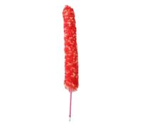 Spazzola Pulizia Flauto e Piccolo, Manico Antiscivolo in Nylon Rosso | Strumento per Pulizia Interna, Resistente alla Deformazione, per Rimuovere Sporco e Residui dal Corpo dello Musicale