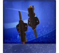 Spazzole Carboncini Motore per Bosch WFB2000SK07,WFB2000SK12,WFB2002 Con Ceset