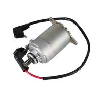 Spazzole motorino avviamento Avviatore Motorino di avviamento elettrico per motocicletta per E-Ton ATV Viper150R RXL150R Yukon150 YXL150 Yukon II 150 CXL150