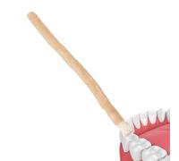 Spazzolino da denti naturale - Bastone per la pulizia dei denti a base di | Cura orale | Set di strumenti per l'igiene dentale tradizionale a base di bastoni da masticare
