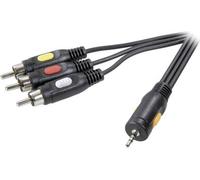 SpeakA Professional Klainke / Composite Cinch AV Cavo di connessione [spina da cinch da 1x jack 2,5 mm-3x] 2,50 m nero (SP-7869 NEW