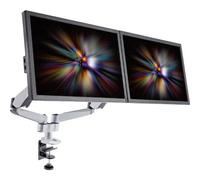 SpeaKa Professional SP-1624800 2 vie Supporto da tavolo per monitor 25,4 cm (10