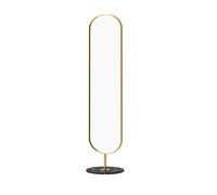 Specchi a figura intera Specchio dal pavimento al soffitto for la camera da letto di casa, specchio tridimensionale a bordo stretto, moderno e semplice a figura intera con contenitore(Gold)