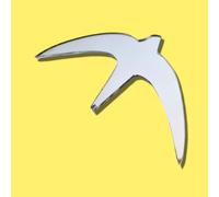 Specchi Di Sicurezza In Acrilico A Forma Di Swift