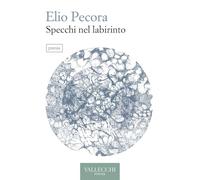 Specchi nel labirinto