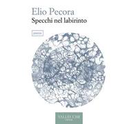 Specchi nel labirinto