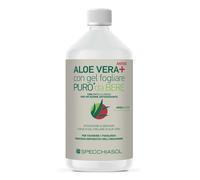 Specchiasol Aloe Vera+ Antiox con Mirtillo Rosso – 1000 ml