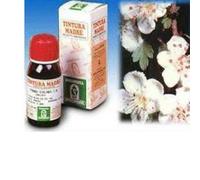 Specchiasol Tintura Madre 50 ml Soluzione Idroalcolica 10 Biancospino