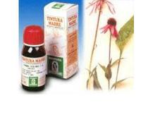Specchiasol Echinacea 59 Tintura Madre 50 ml