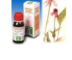 Specchiasol Echinacea 59 Tintura Madre 50 ml