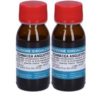 Specchiasol Echinacea Angustifolia 59 Integratore Alimentare 2x50 ml G