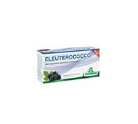 Specchiasol Tonic+ Integratore Eleuterococco Energia e Vitalità 12 flaconcini x 10 ml