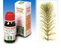 Specchiasol Equiseto 12 Tintura Madre 50 ml
