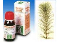 Equiseto 50ml tm specchiasol