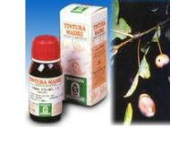 Fucus vescicolosus tintura madre 50ml