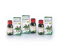 Specchiasol Gemmosol 24 Fico Gemmoderivati 50 ml
