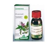 Specchiasol GEMMOSOL 26 NOCE 50ML