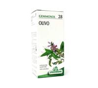 Specchiasol Gemmosol - 28 Olivo Integratore Alimentare, 50ml