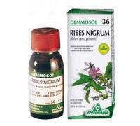Specchiasol Gemmosol 36 Ribes Nero 100ml