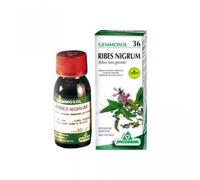 Specchiasol Gemmosol 36 Ribes Nero 100 ml Integratore per le Vie Respiratorie