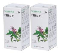 SPECCHIASOL Gemmosol Ribes Nero 2x100 ml Liquido