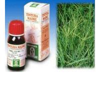 Specchiasol Gramigna 37 Tintura Madre 50 ml