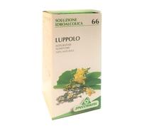 Specchiasol Tintura Madre Luppolo 66 – Integratore alimentare, soluzione idroalcolica 50 ml
