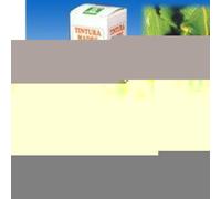 Specchiasol Mirtillo 31 Soluzione Idroalcolica 50ml